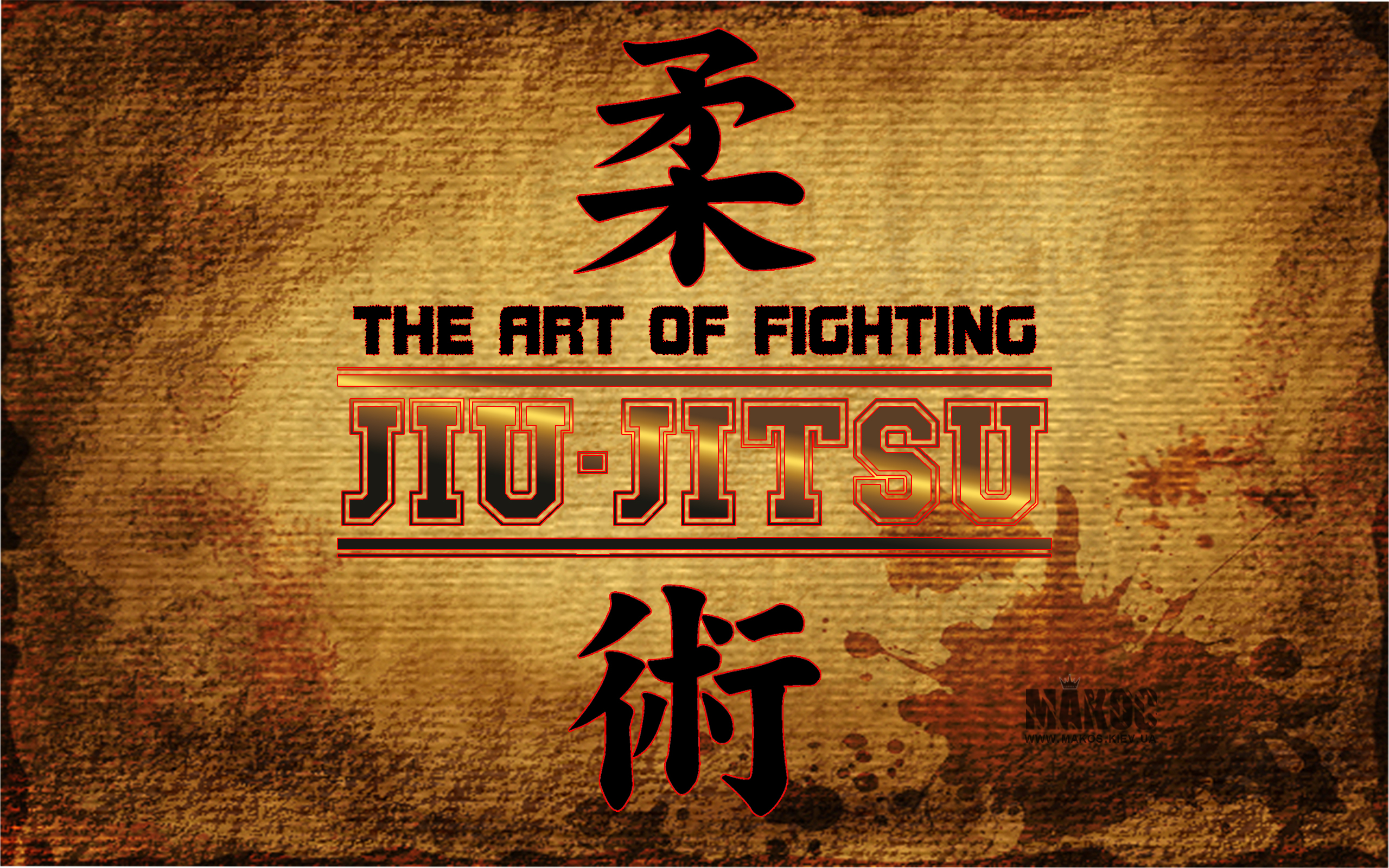50+] Jiu Jitsu Wallpapers - WallpaperSafari