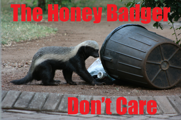 Honey Badger Dont Give