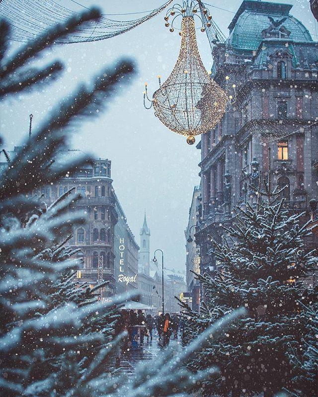 Vienna Austria Winter Scenes Scenery Wonderland
