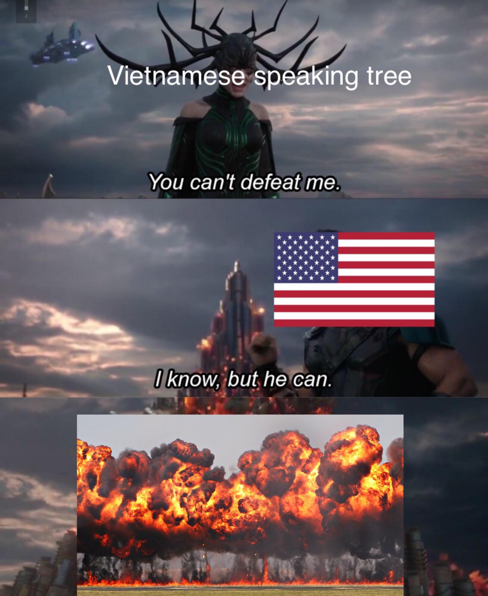 Fortunate Son Plays In The Background Historymemes