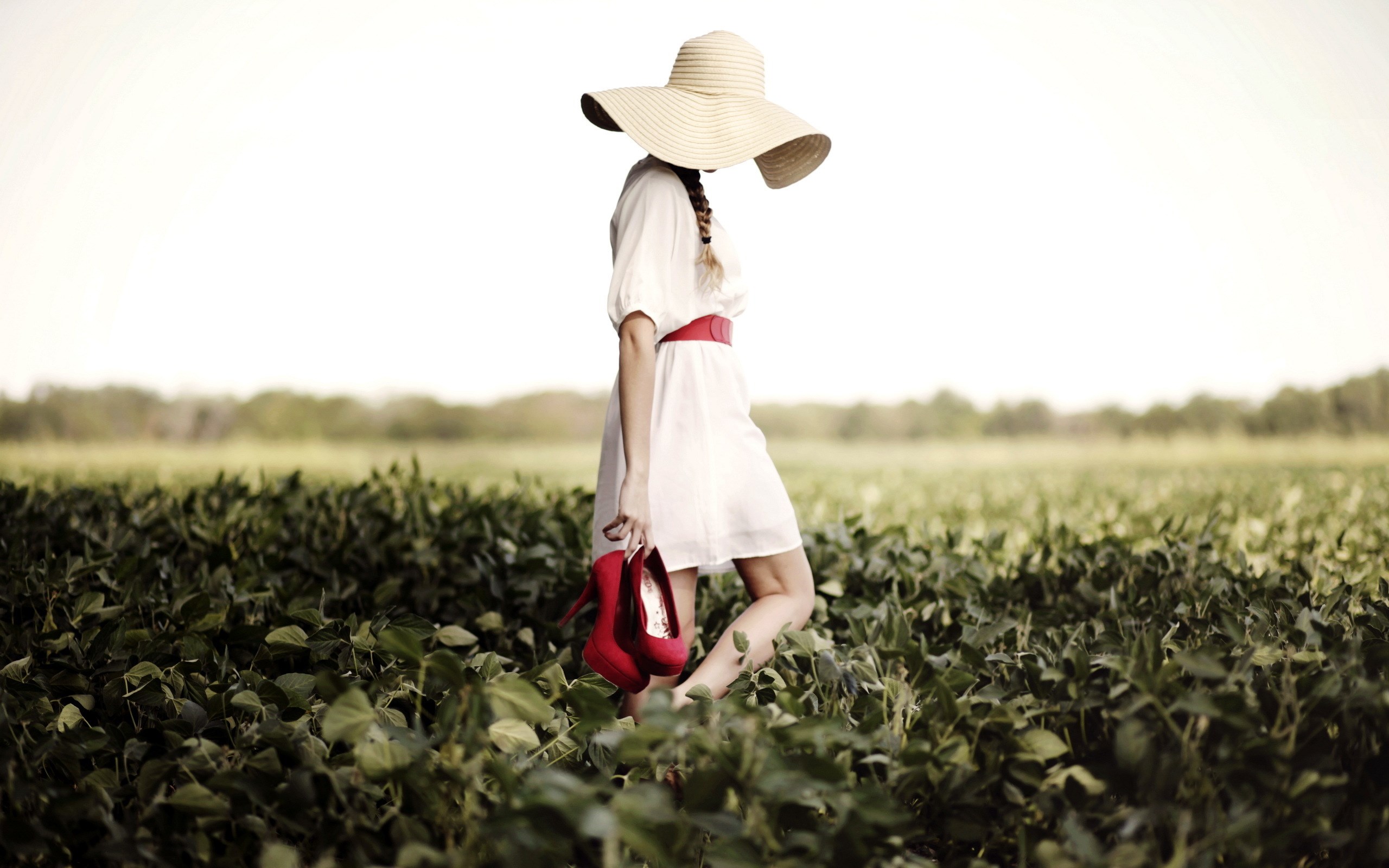 collection great pictures pure High Definition HD You can download