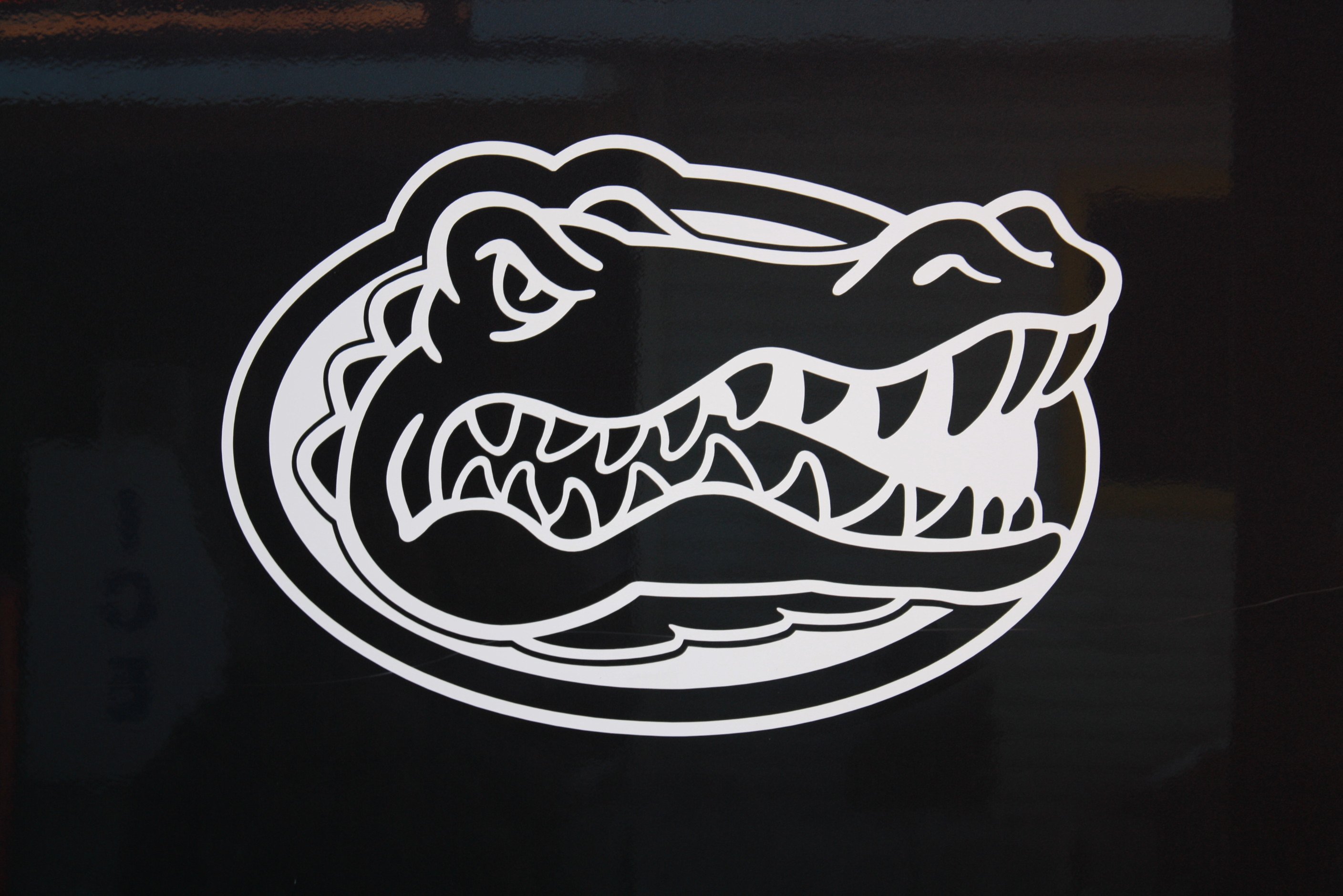 Florida Gators College Football Wallpaper