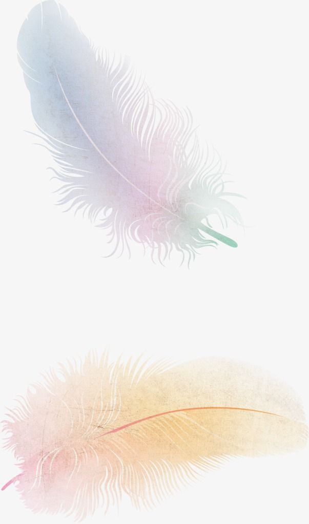 Feather Floating Fine Feathers Png Transparent Clipart