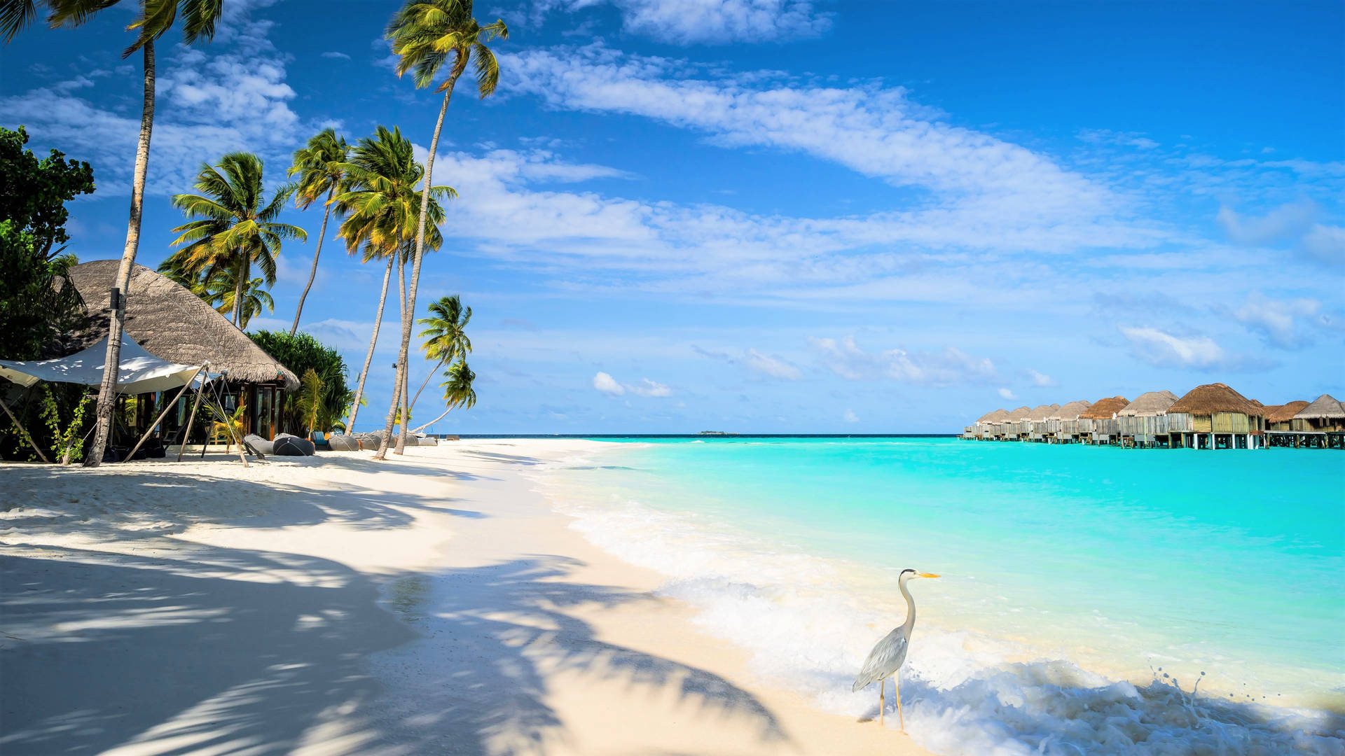 Top White Beach Wallpaper Full HD 4k To Use