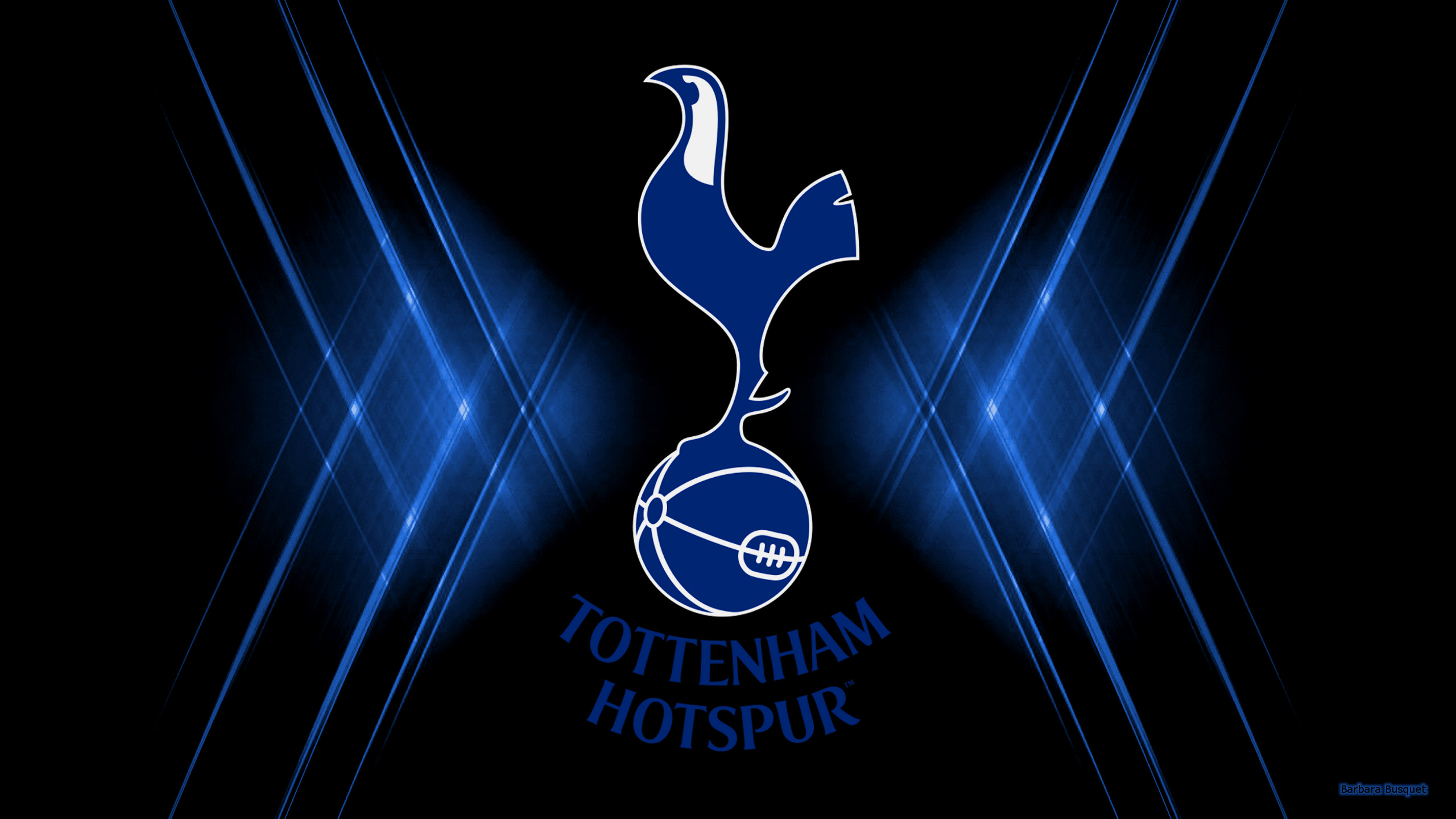  Free Download Tottenham Hotspur F C Hd Wallpaper Background Image By 