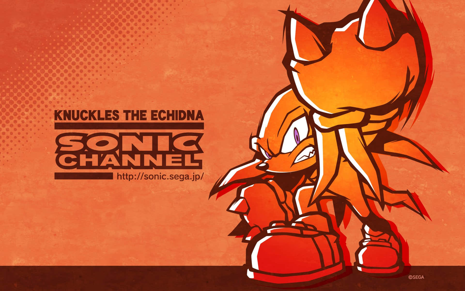 Knuckles The Echidna From Sonic Hedgehog Wallpaper