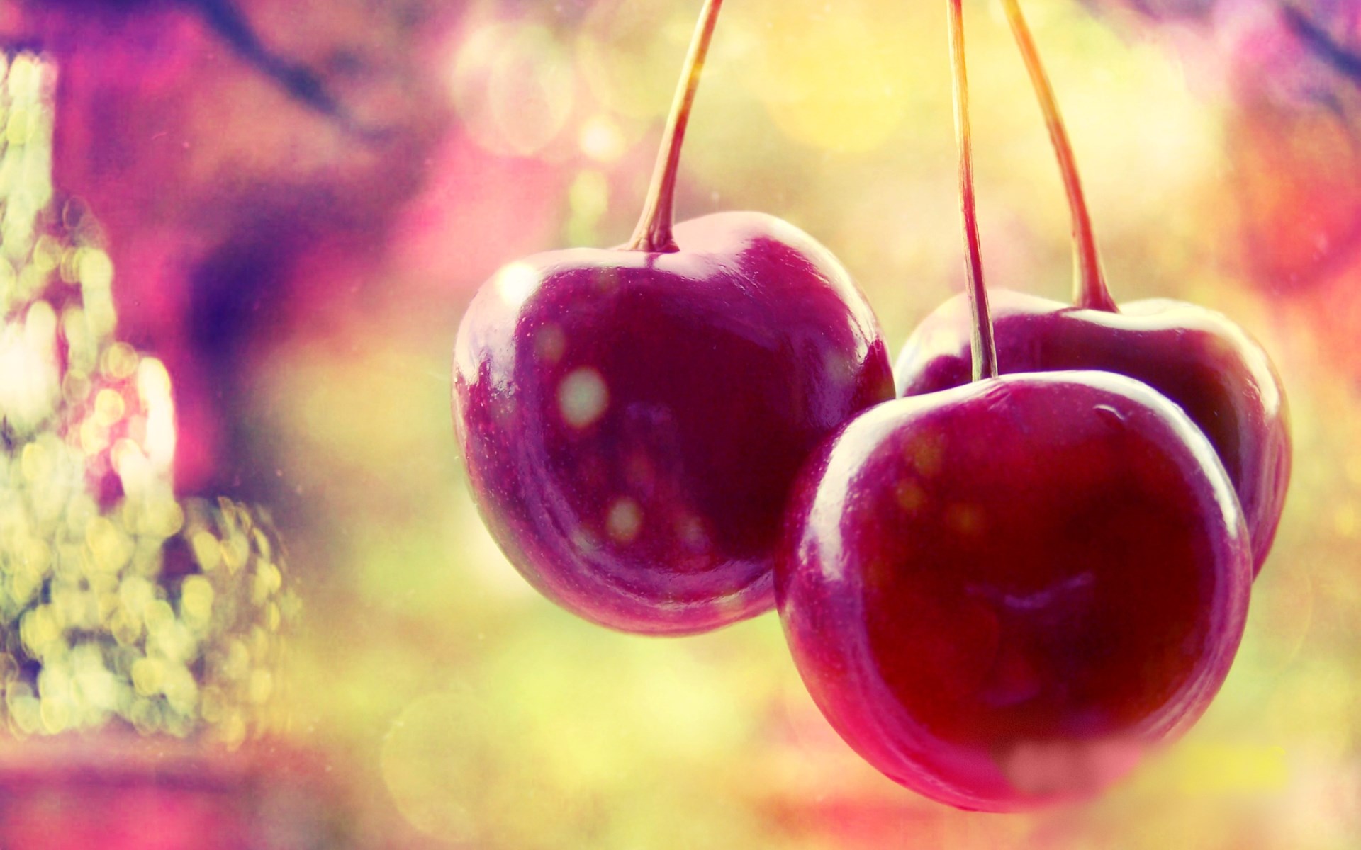 Cherries Fruit HD Wallpaper Magic4walls