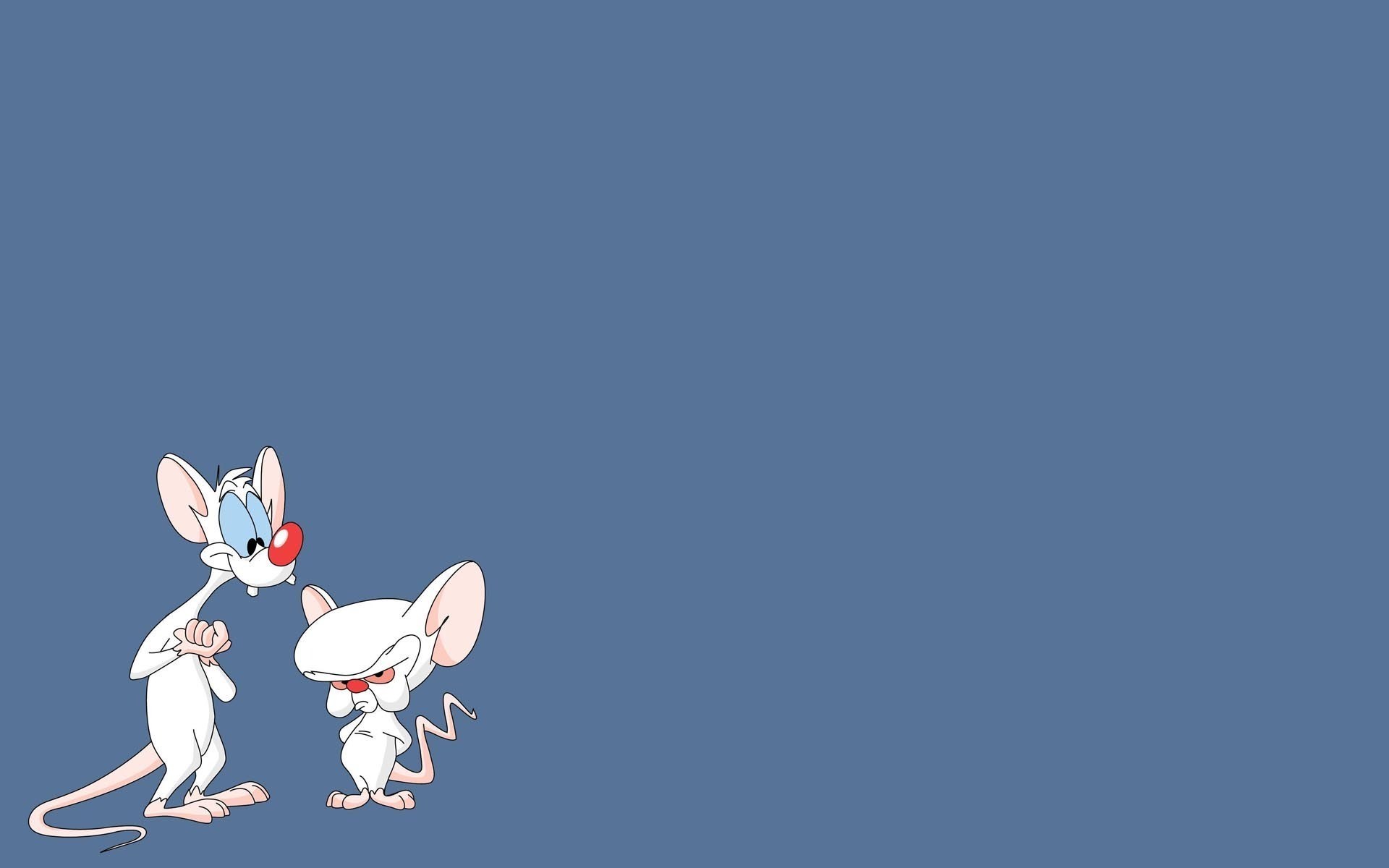 Pinky And The Brain Wallpapers and Background Images   stmednet