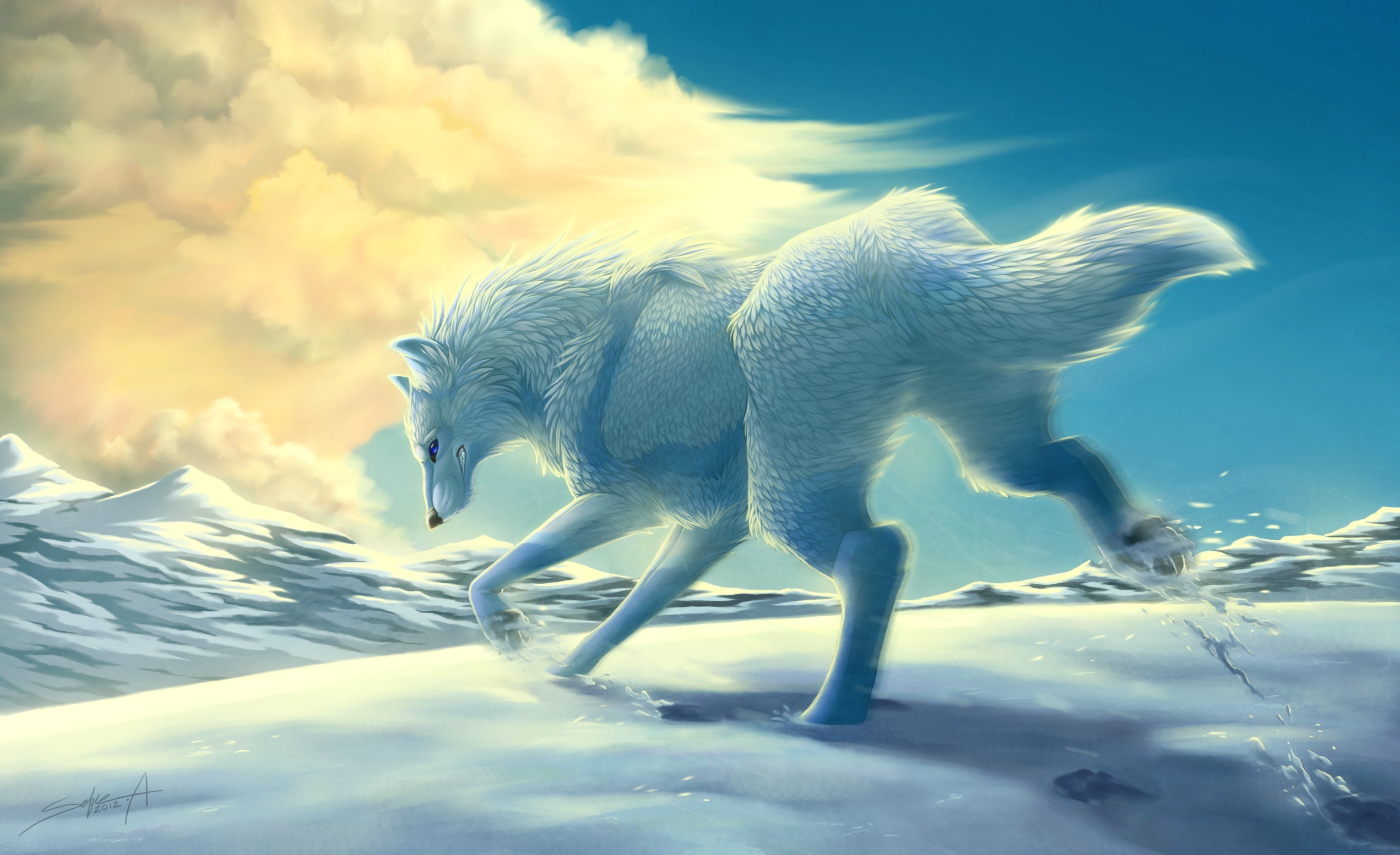 Snow Wolf Wallpaper And Image Pictures