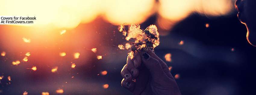 Of Make A Wish Cover Nice Wallpaper