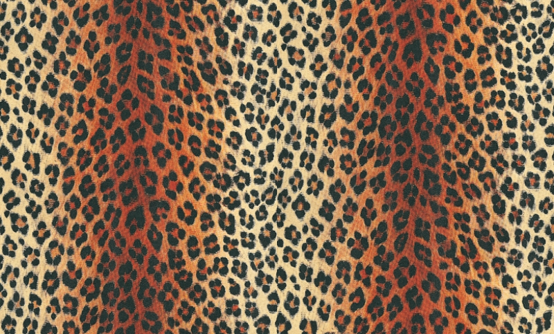 Albany Wallpaper Leopard Print Wild Thing A Stunning