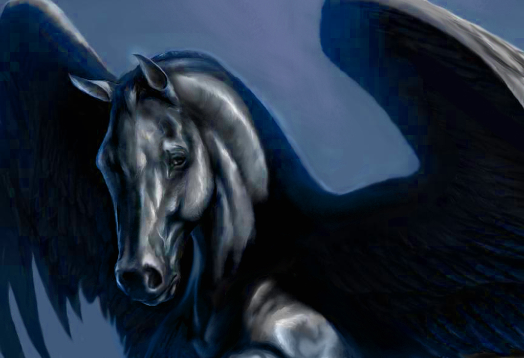 Black Pegasus Wallpaper Dark By Smcnonnahs