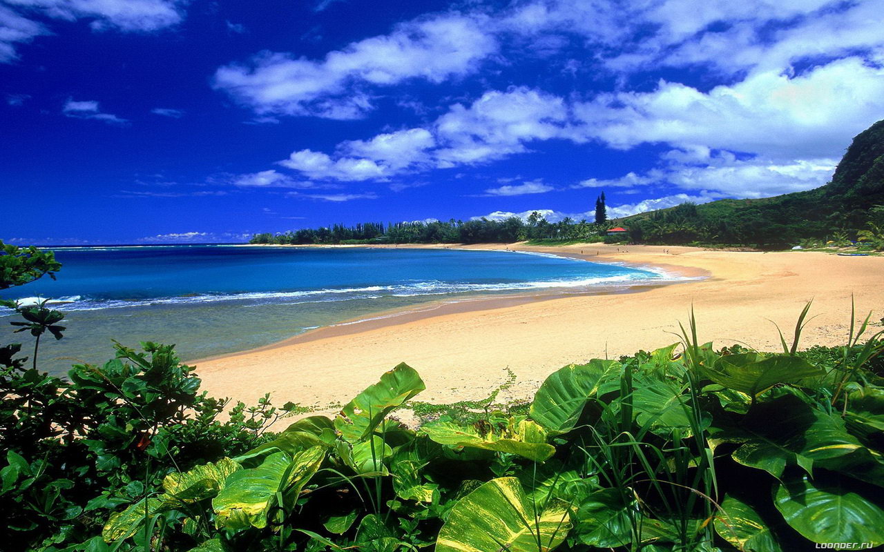 Hawaiian Beach Pictures