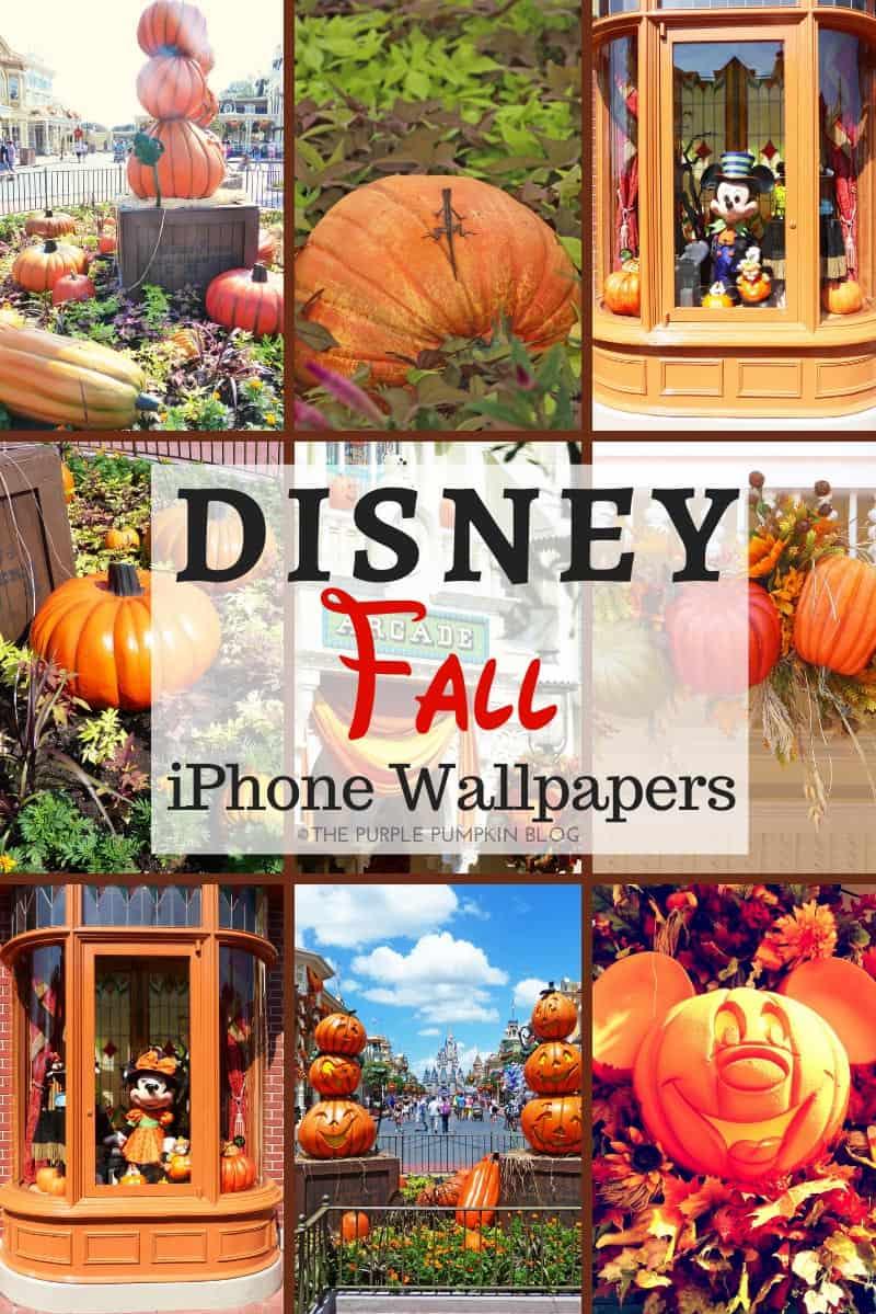 Disney Fall iPhone Wallpaper To For
