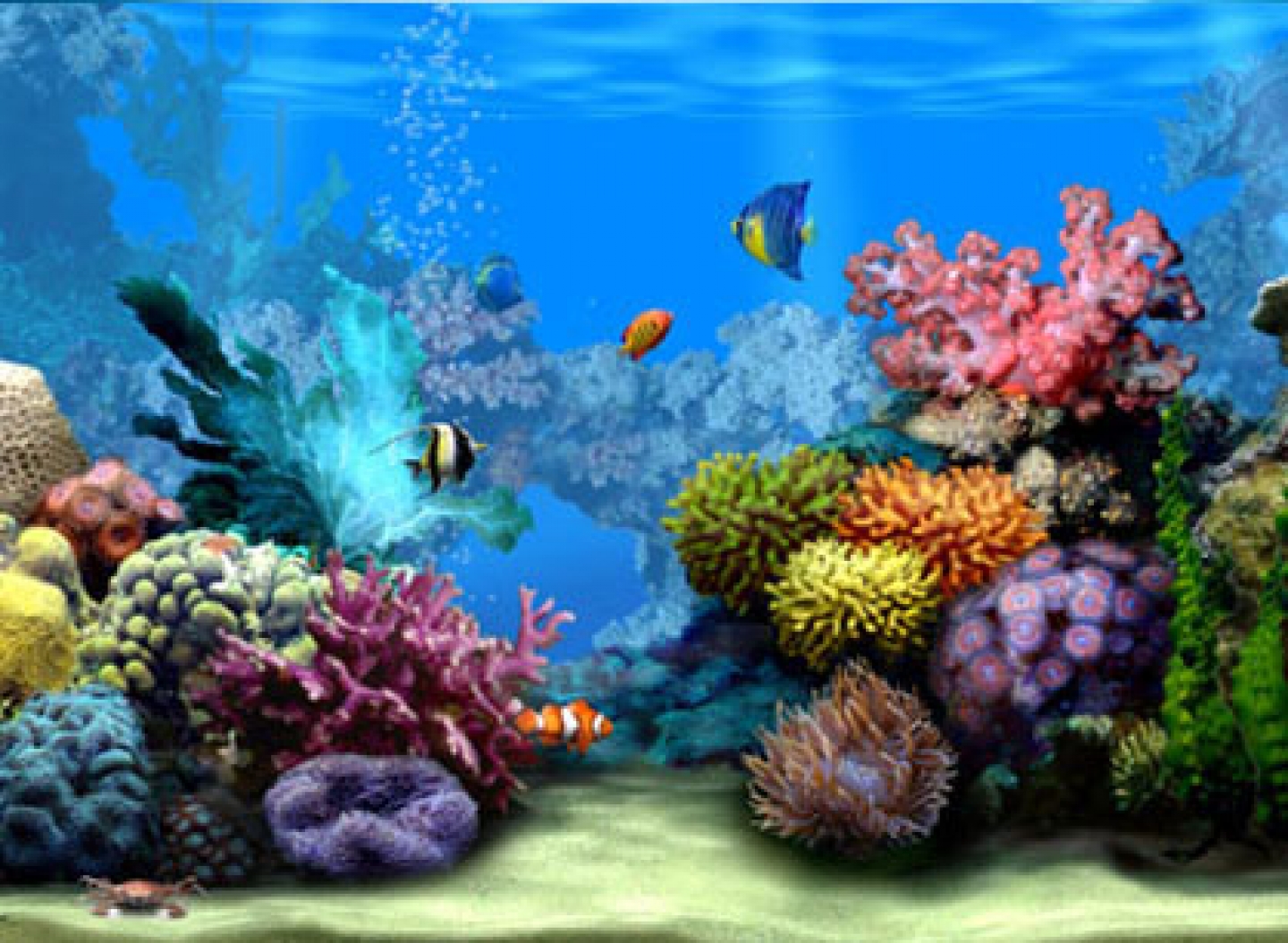 Moving Wallpaper HD Desktop