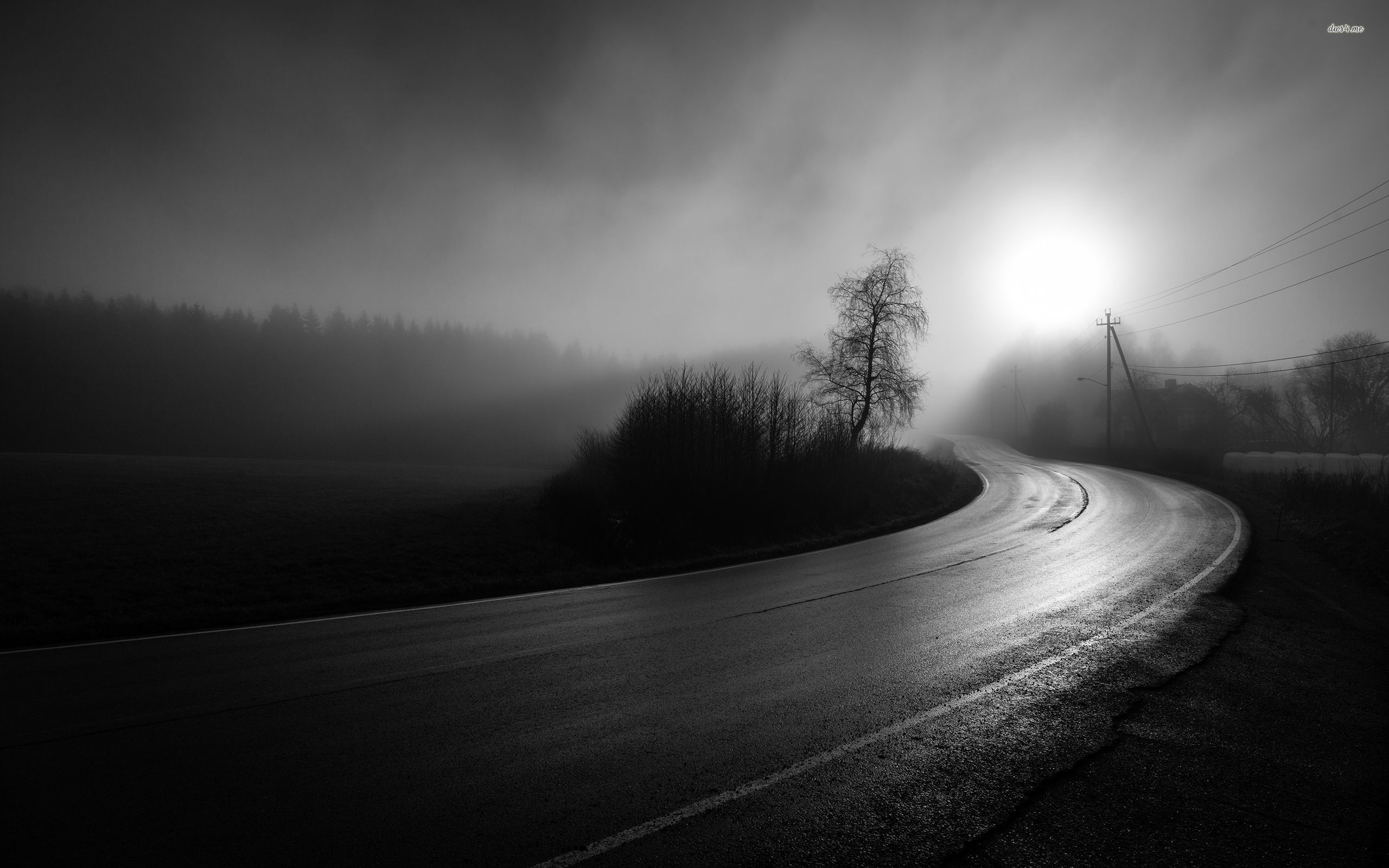 Dark Empty Road Wallpaper Photography