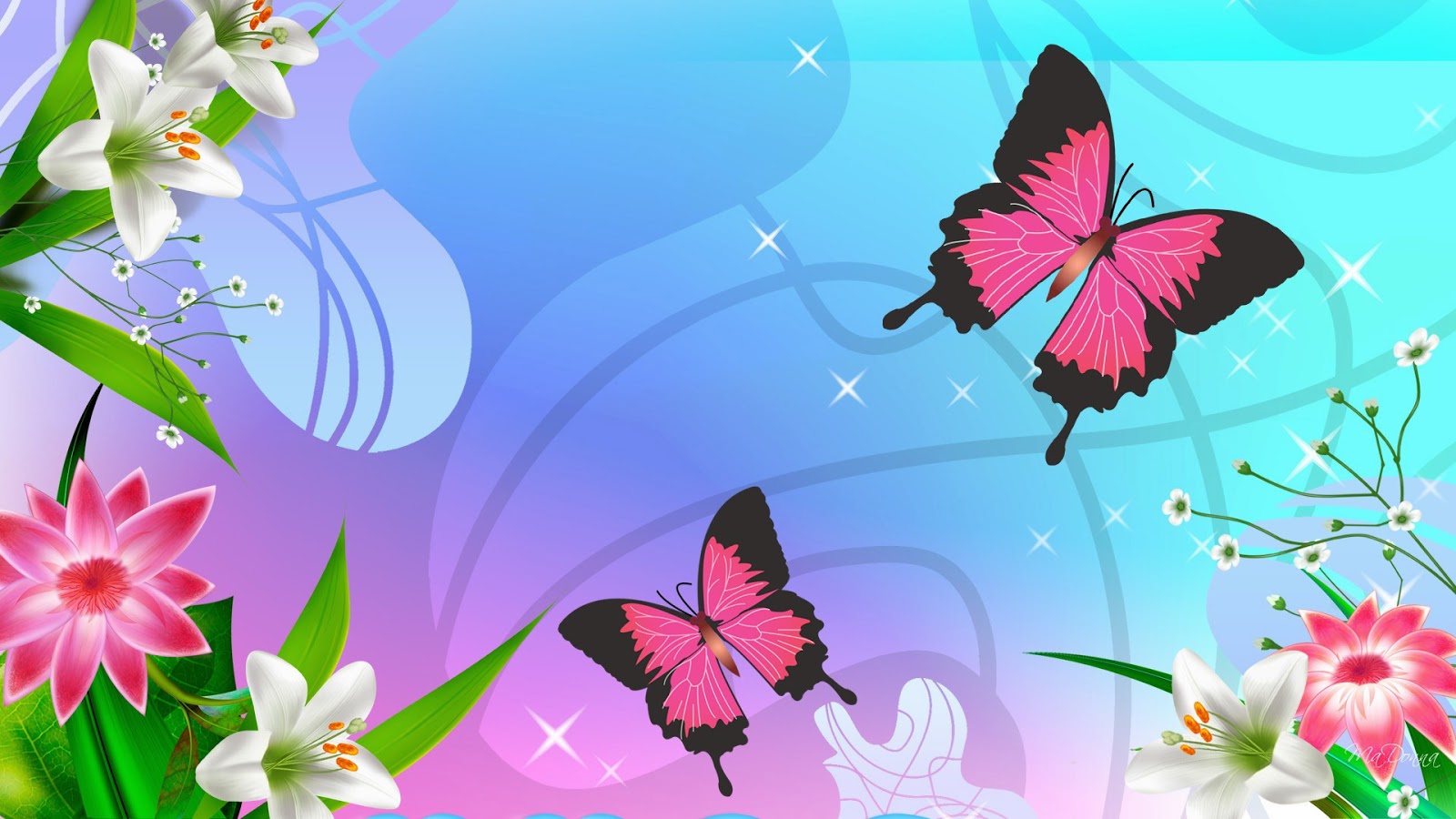 Two Pink Butterfly And Flower Wallpaper Beautiful Desktop