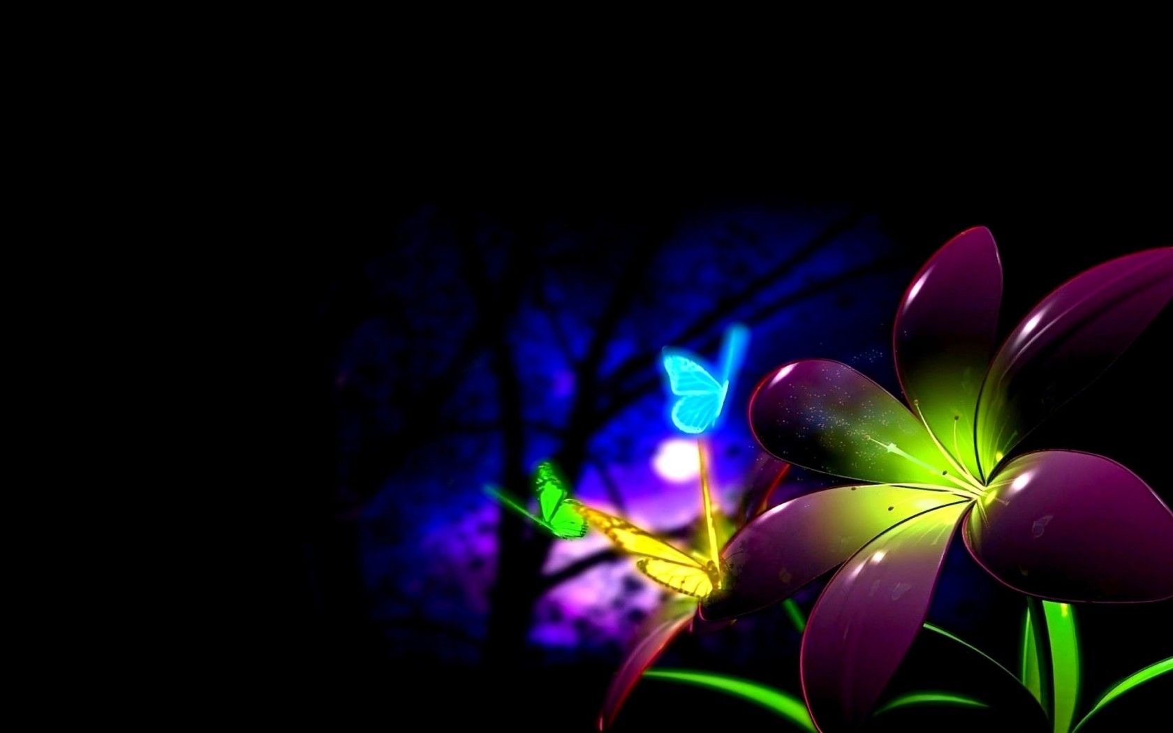 Pin Flower And Butterflies In Night Desktop Wallpapers Download 1680x1050