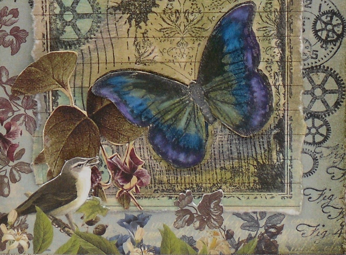 Vintage Butterfly Wallpaper   Widescreen HD Wallpapers 1213x896