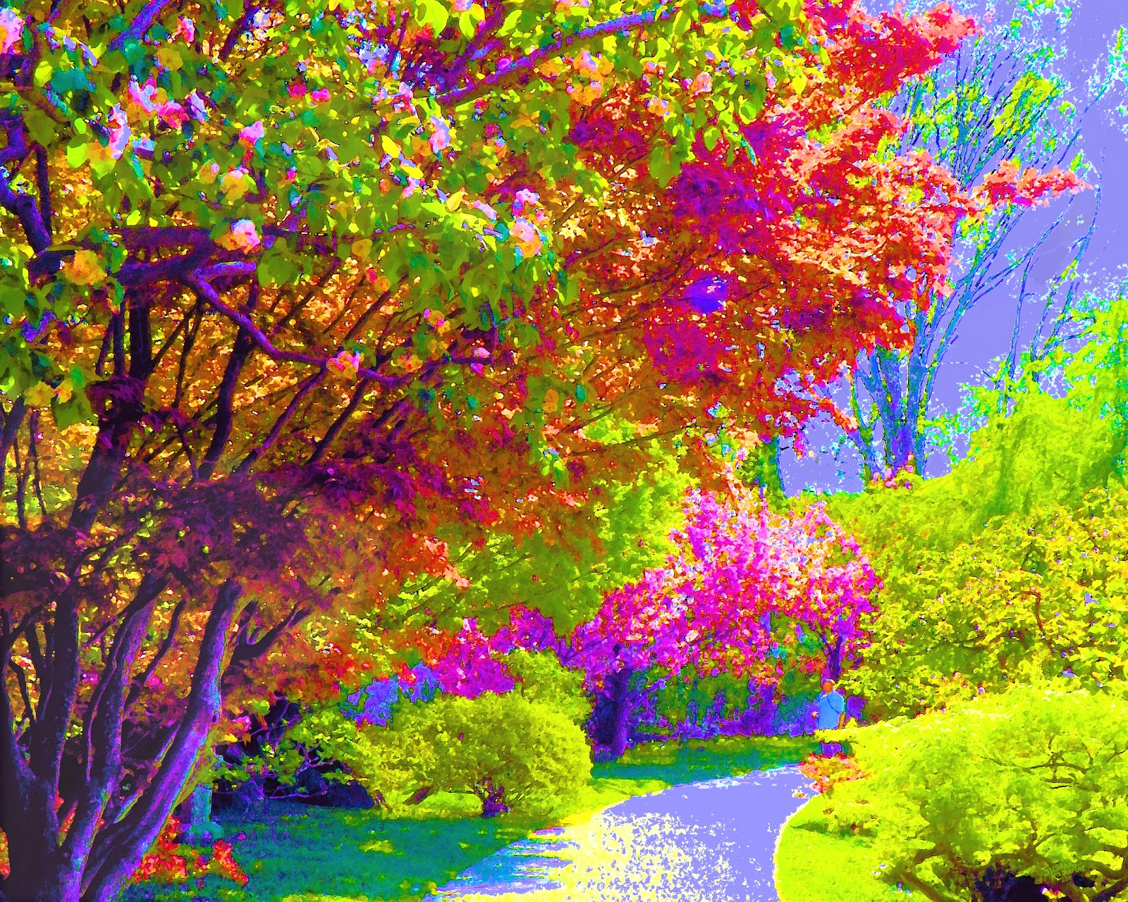 Colorful Trees Painting Background Colorful Background Wallpapers