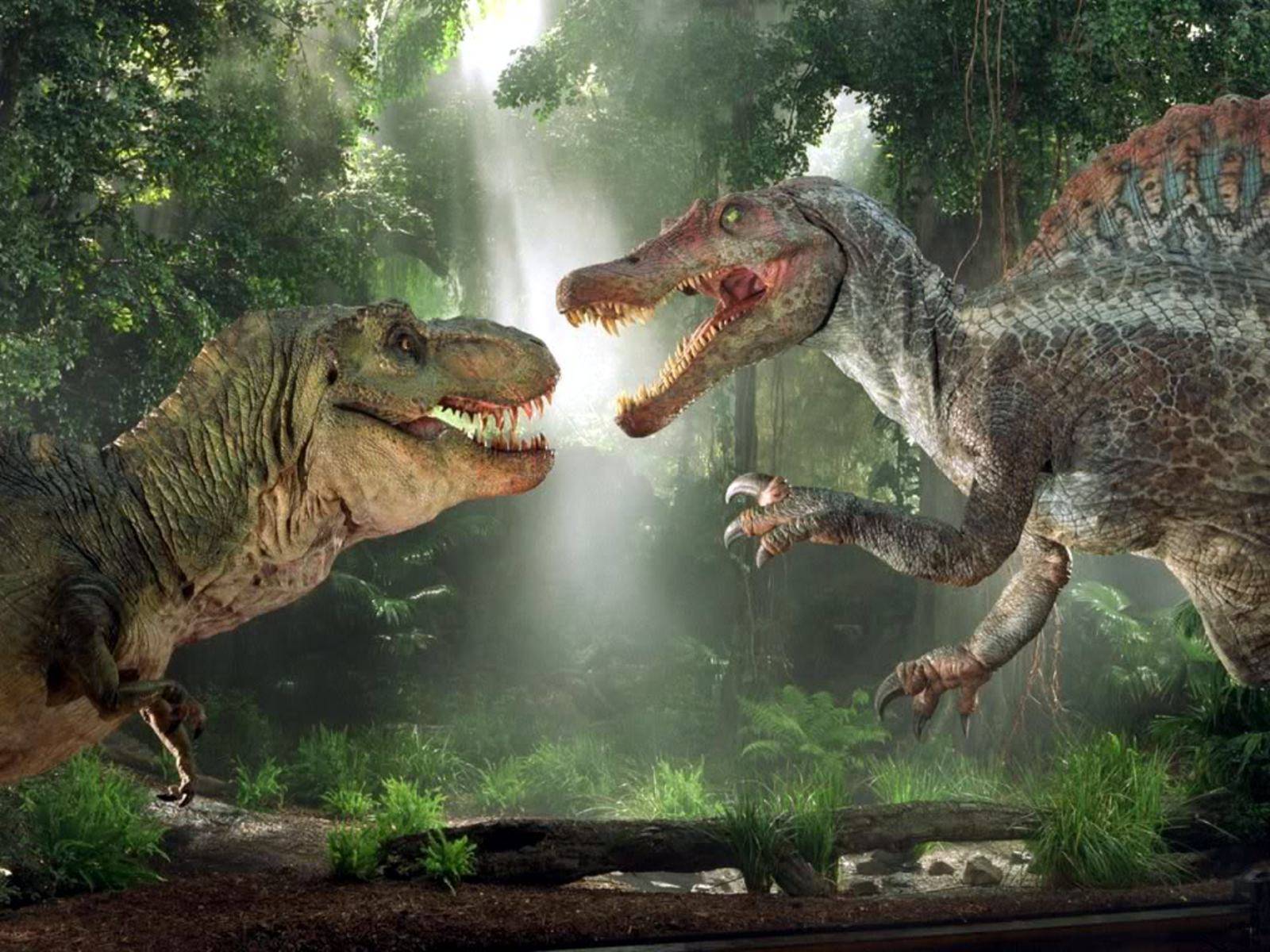 T Rex And Spinosaurus Dinasours Wallpaper