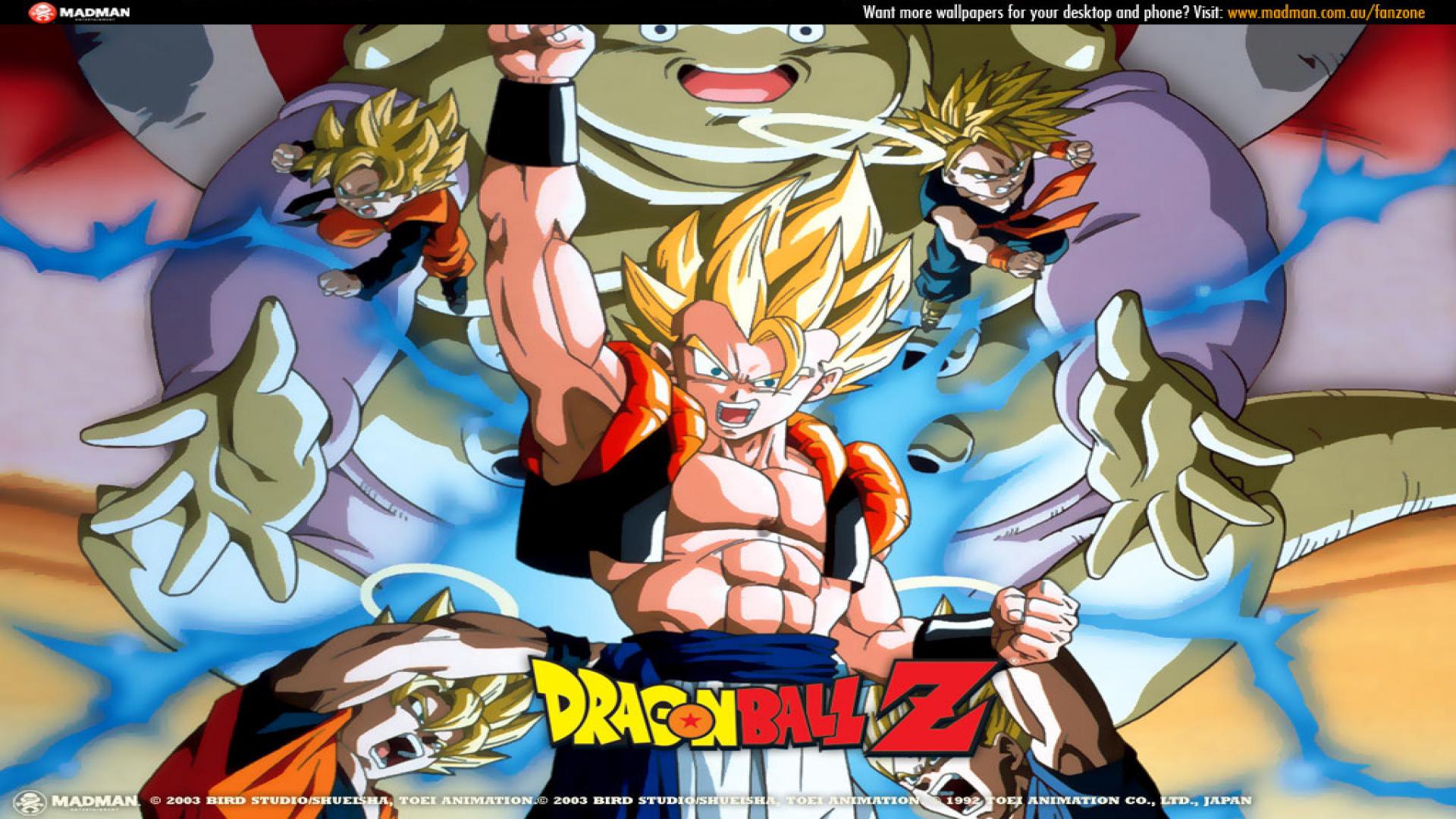 Dragon Ball Z Fusion Reborn HD Wallpaper