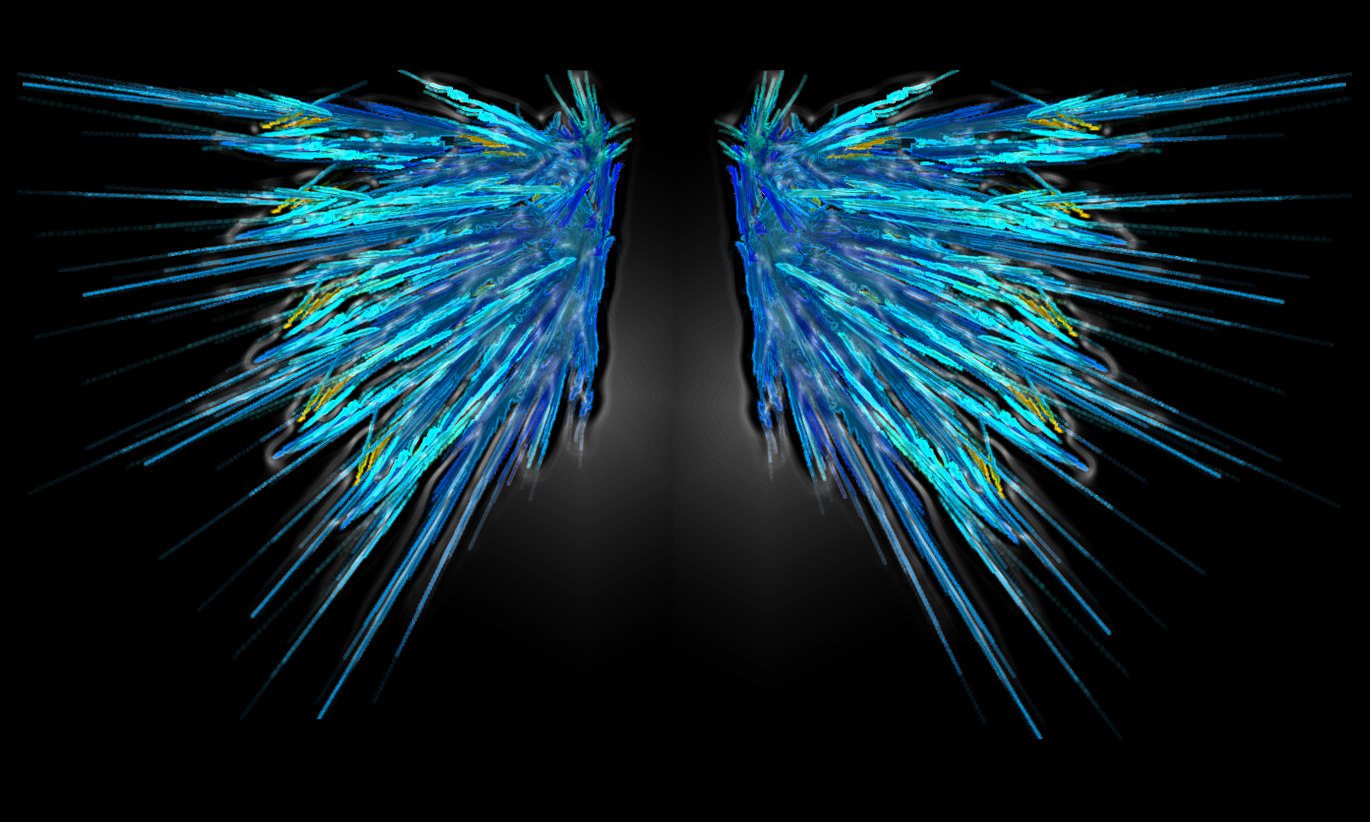 Angel Wings By Harudagon