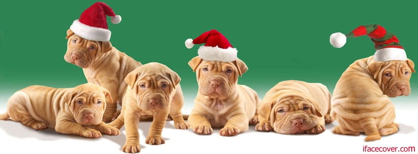Funny Christmas Dogs Desktop Wallpaper