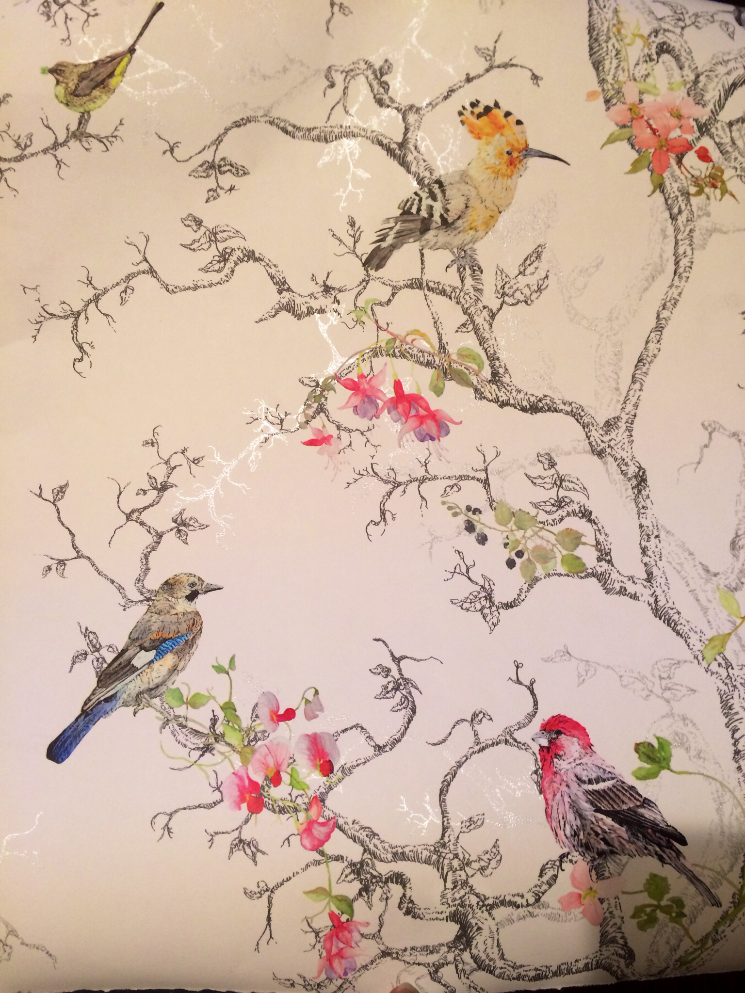 Birds Wallpaper B Q Kitchen Ideas