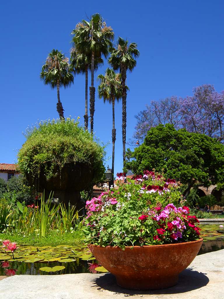 Green Flower Park In San Juan Capistrano Beautiful