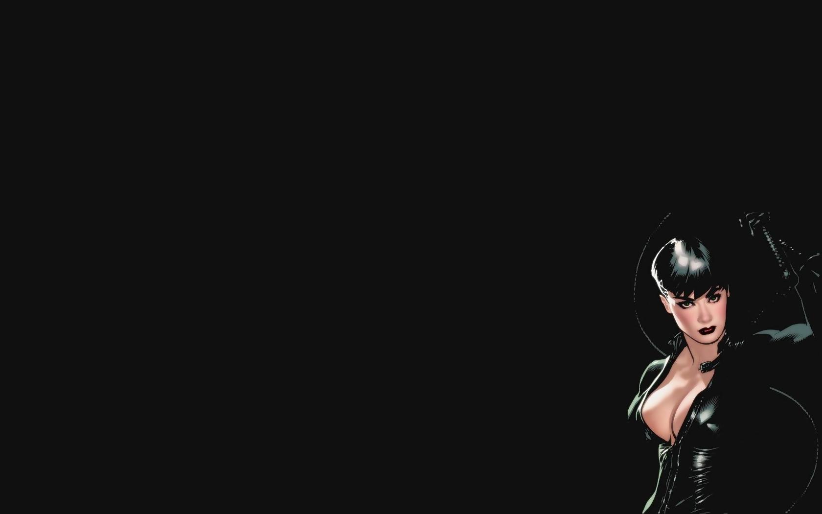 Dc Ics Catwoman Selina Kyle HD Wallpaper Cartoon Animation