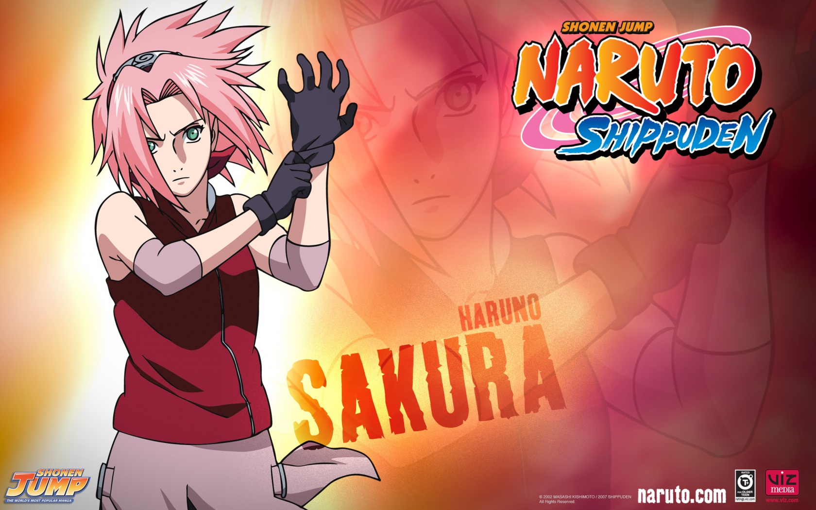 Sakura Naruto Shippuuden Wallpaper