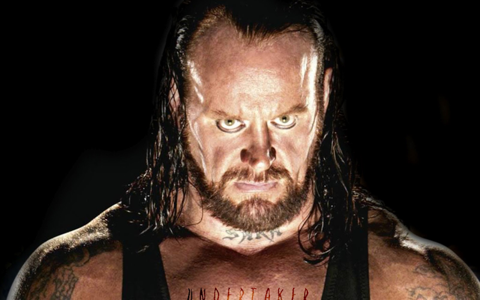 All Wallpapers Undertaker Hd Wallpapers