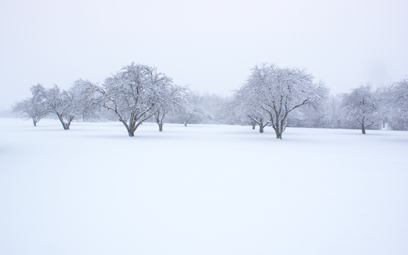 Desktop Snow For Wallpaper High Quality