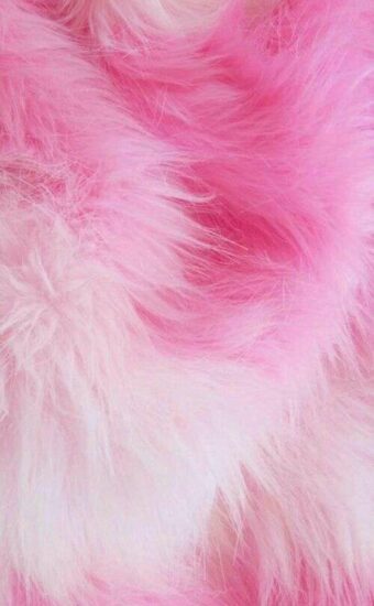 Fur Wallpaper HD