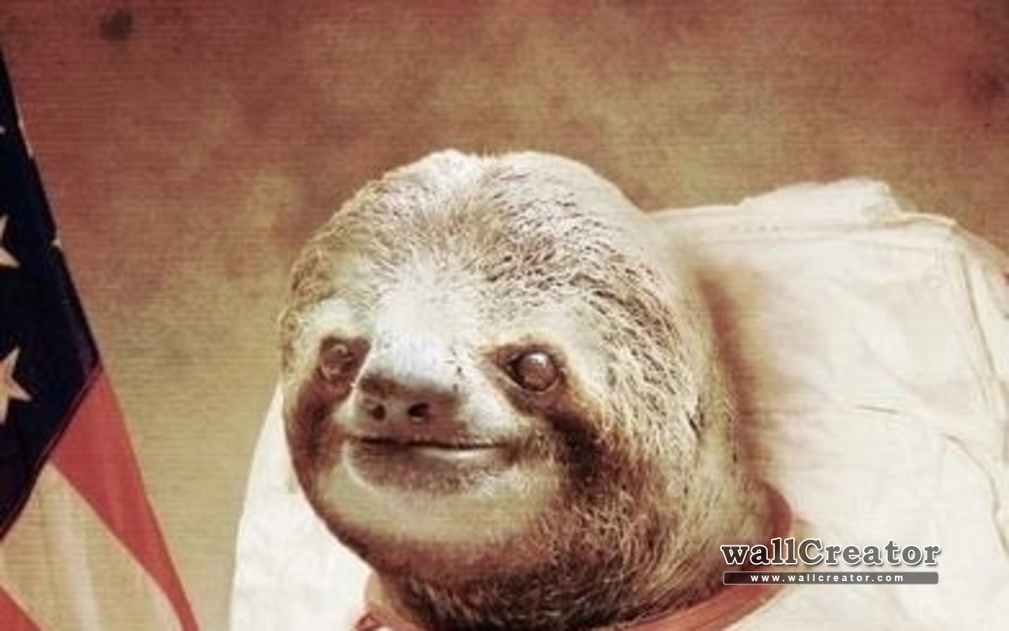 Similar Galleries Astronaut Sloth Desktop Background