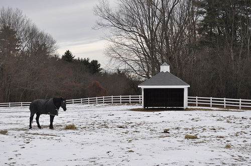 New England Winter Scene Photo Sharing