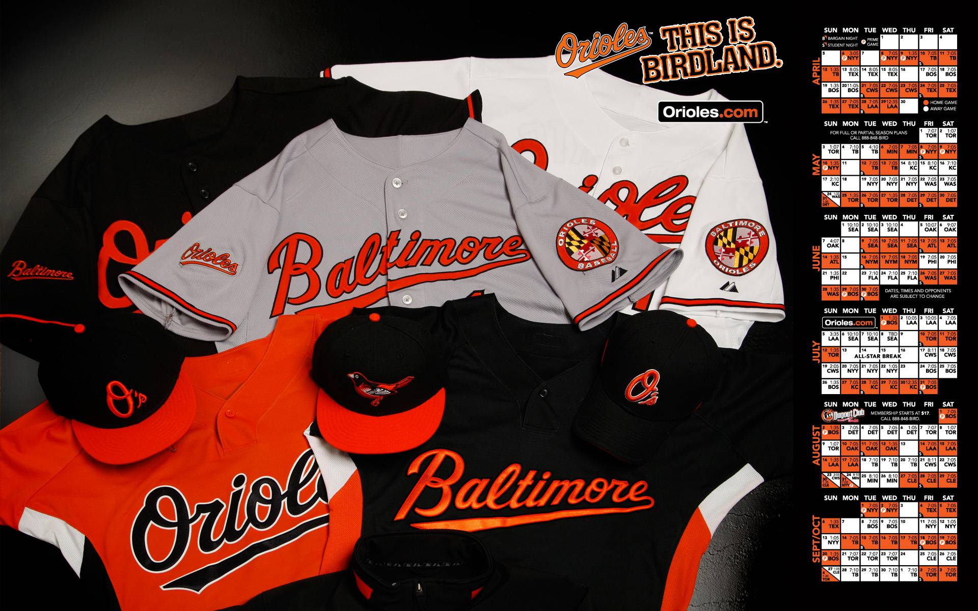 Baltimore Orioles Jerseys Bulkupload Sizes Baseball Wallpaper