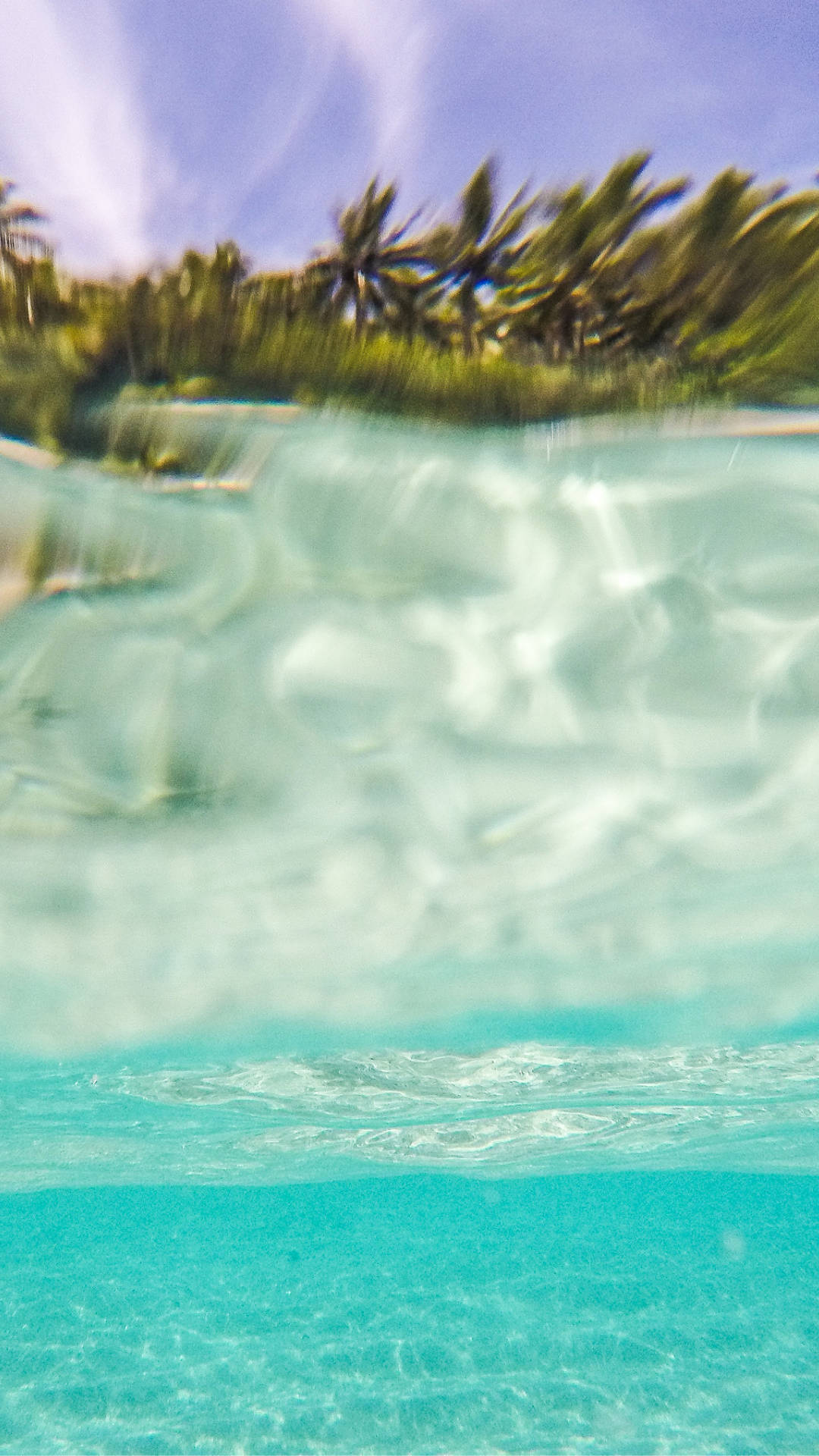 Summer Vibes Wallpaper