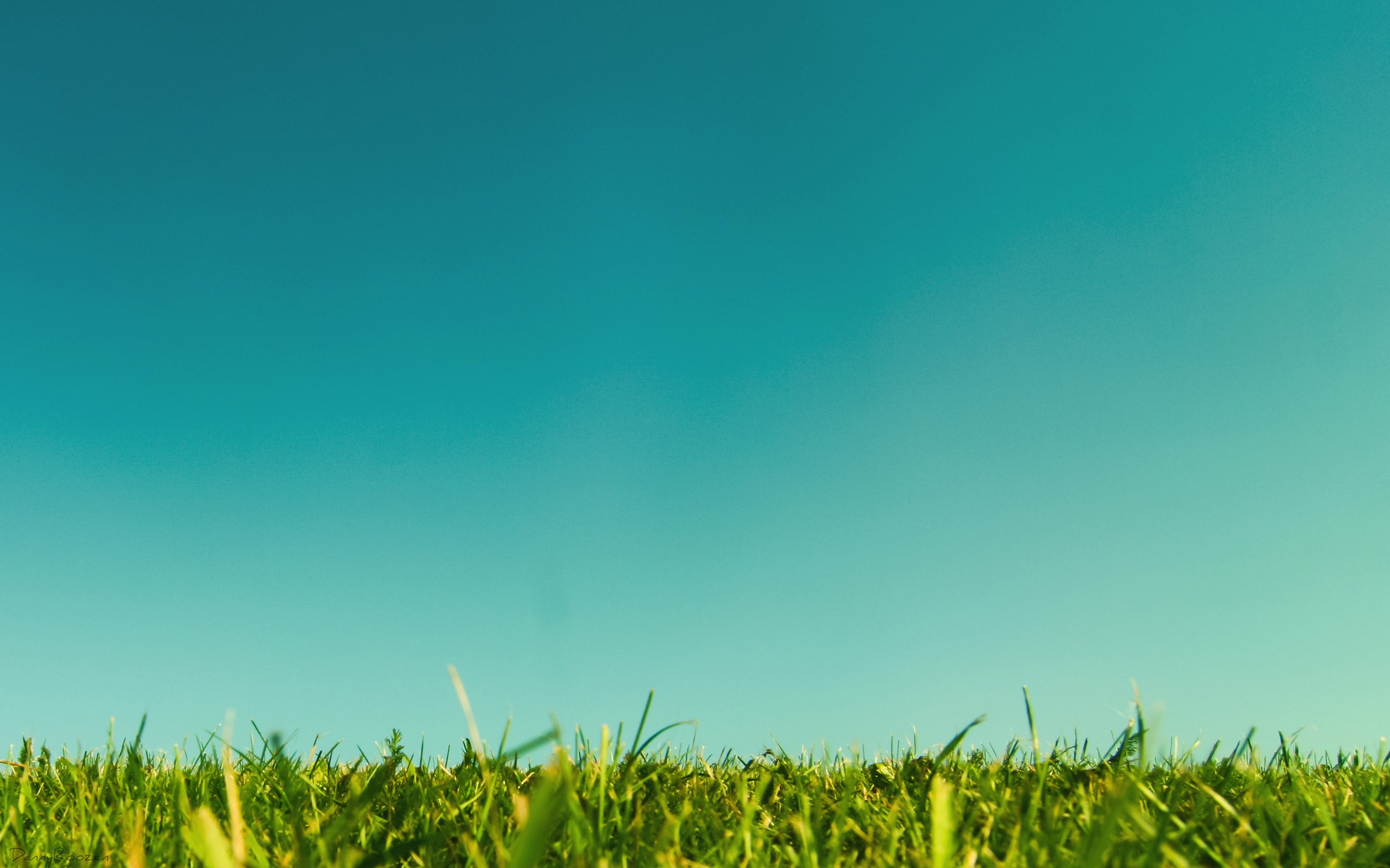 Grass And Sky Background wallpaper   1039270