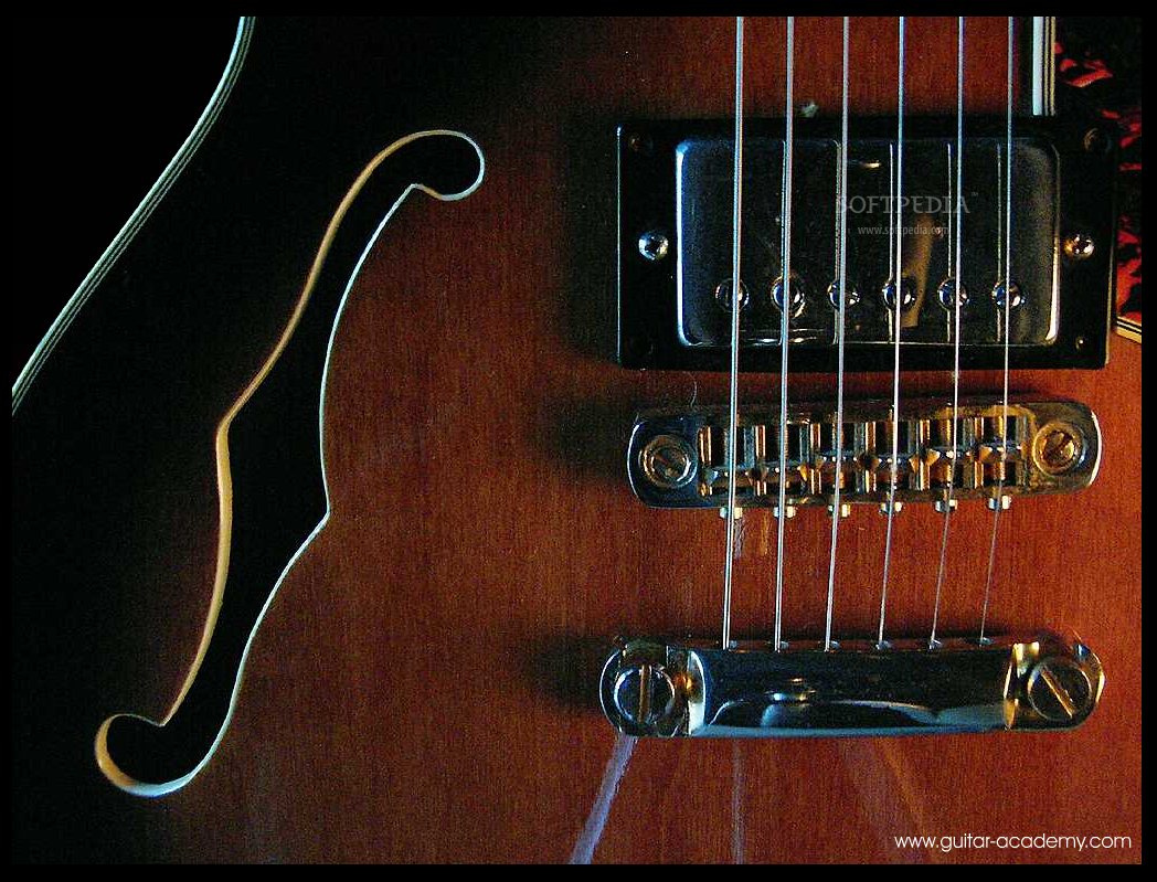 Ascii Guitar Small Syd Barrett Replica For Sale Metal
