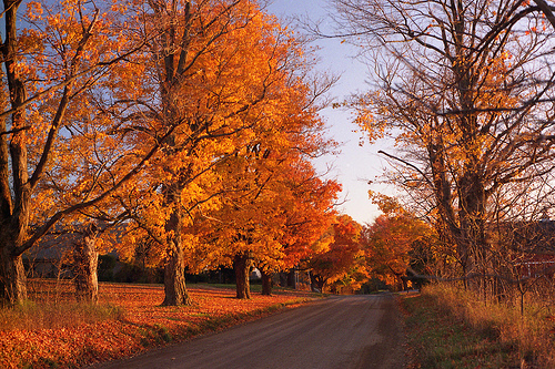 Fall Wallpaper Autumn Photos Pictures