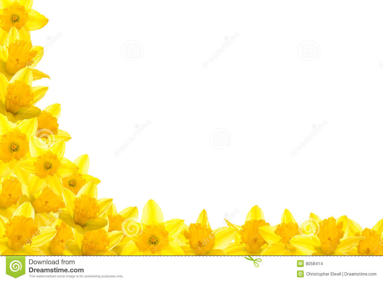 Pin Daffodils Wallpaper
