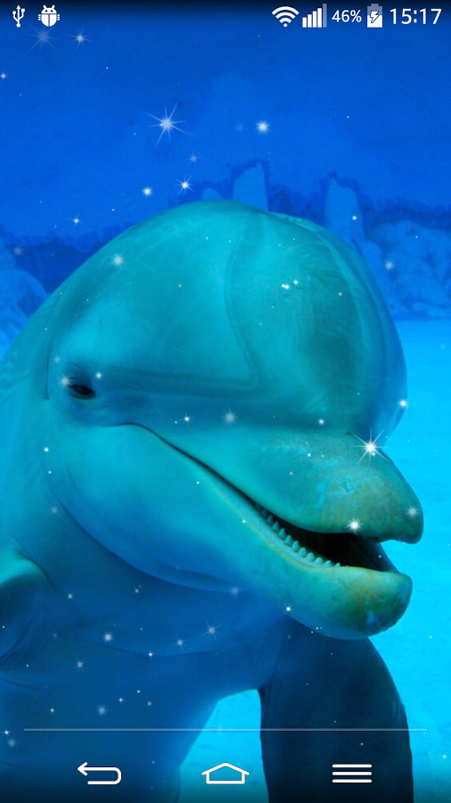 Dolphin Live Wallpaper Android Apps On Google Play