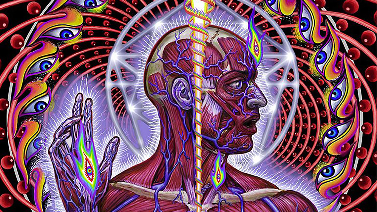 Things You Didn T Know About Tool S Lateralus Revolver