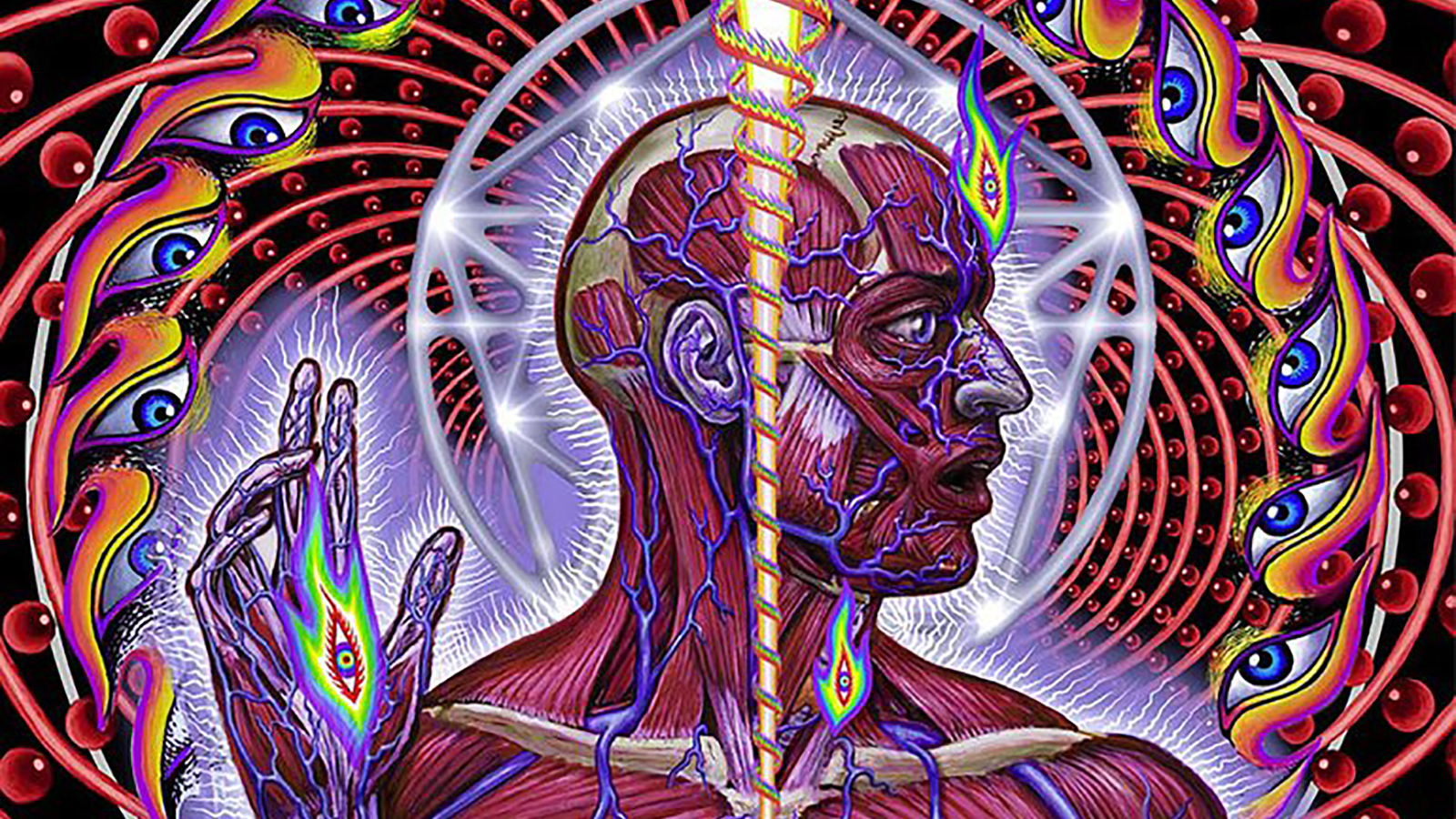 alex grey lateralus eye