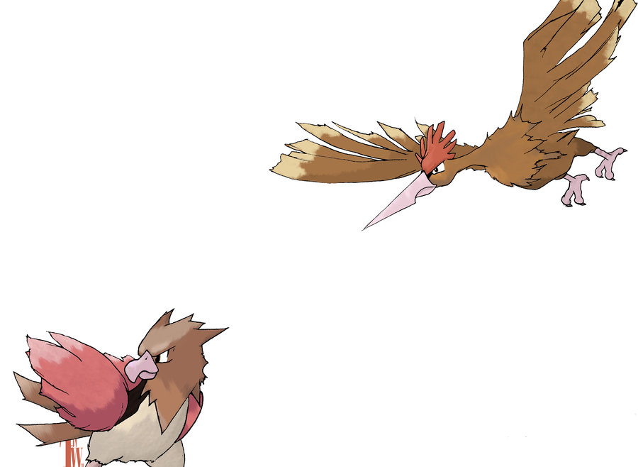 Full HD Pictures Spearow Kb