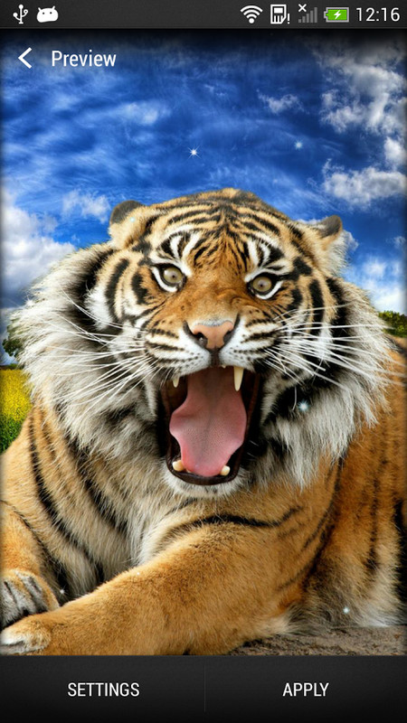 Tiger Live Wallpaper Android Live Wallpaper download   Download 450x800