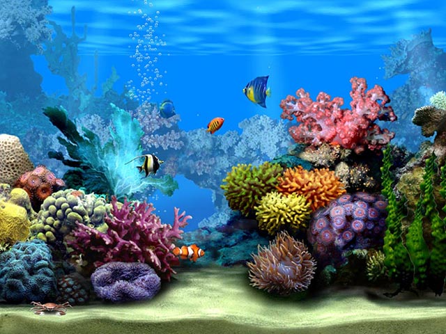 Living marine Aquarium 3D screensaver 640x480