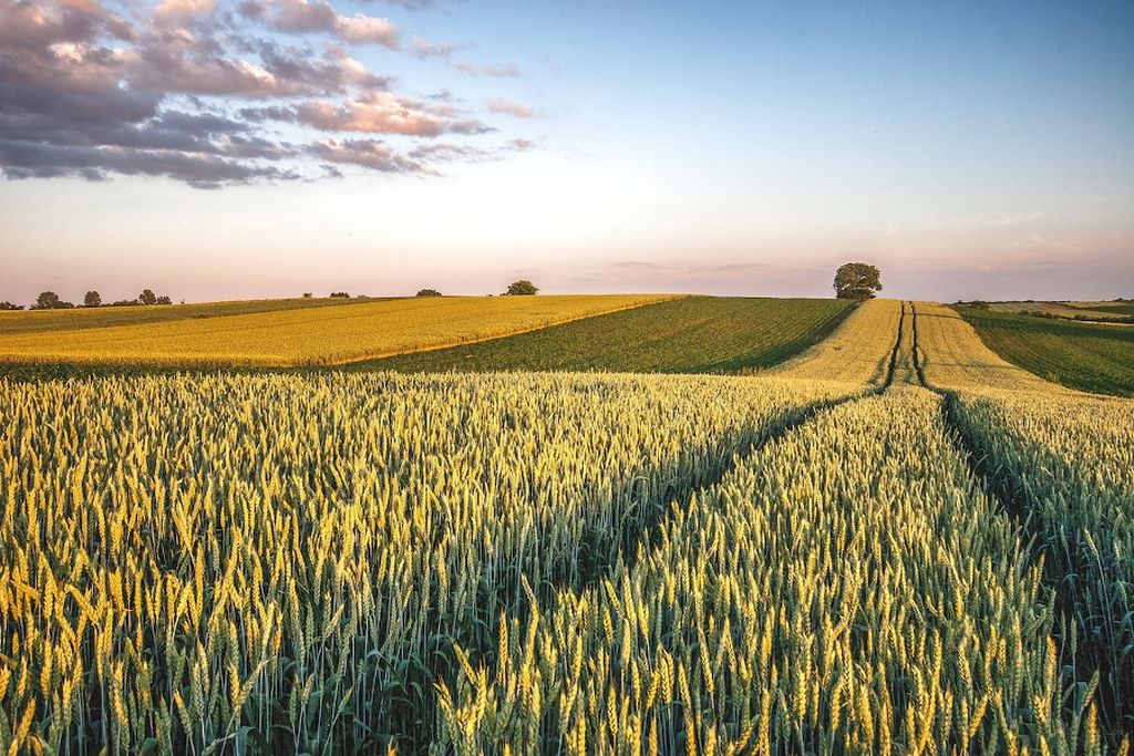 How Does Countryside In Your Country Look Like It Differ